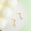 tohu-invisible-clip-on-earrings-crystal-d007g-gold4 雪人・無痛耳夾